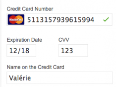 credit-card-offline-processing89.png
